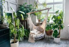 Houseplants