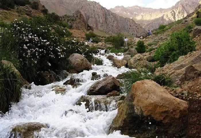 چشمه جوشک