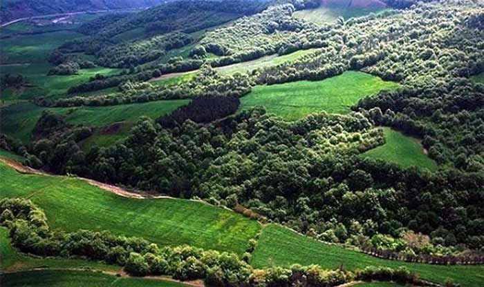 انواع گردشگری گردشگری طبیعت و اکوتوریسم