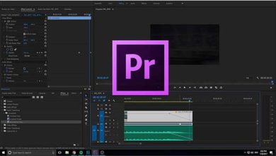 پریمیر فید در پریمیر