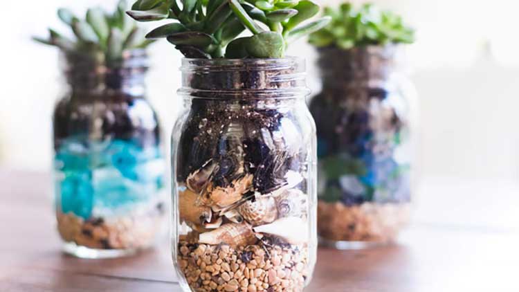 گلدان از شیشه مربا